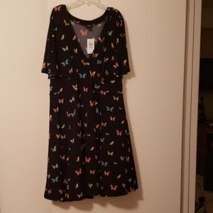 Torrid butterfly dreas